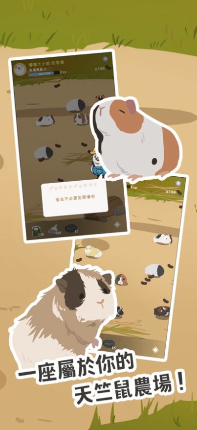 天竺鼠农场1