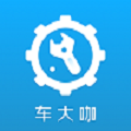 车大咖