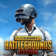 pubg国际服（PUBG MOBILE）