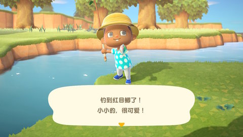 动物之森（Pocket Camp）2