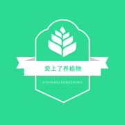 爱上了养植物