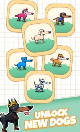 长鼻子狗（Long Dog - Borzoi Dog）1