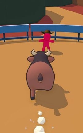 骑牛大赛（bull riding）0