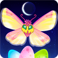 蝴蝶之星夜（Star Hoppers）