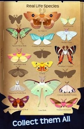 蝴蝶之星夜（Star Hoppers）2