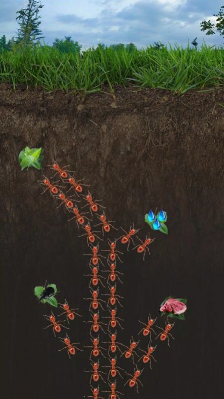 蚂蚁小小蚁国地下王国守卫2