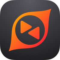 向日葵领航（Sunlogin Pilot）