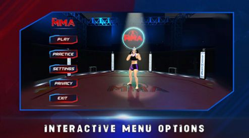 真正的综合格斗0