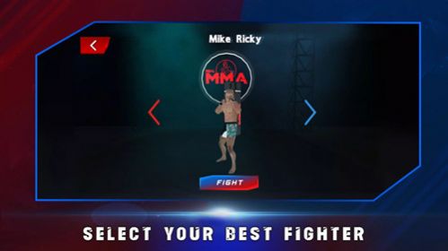 真正的综合格斗2