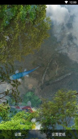3d鱼池动态壁纸（Koi）1