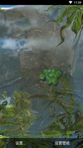 3d鱼池动态壁纸（Koi）2