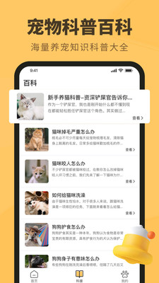 宠物日常2
