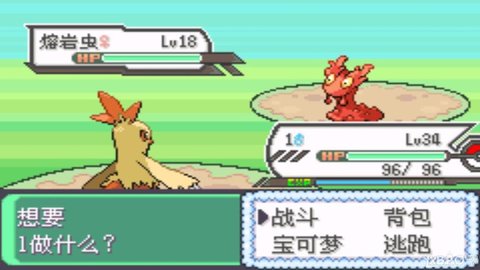 精灵宝可梦究极绿宝石