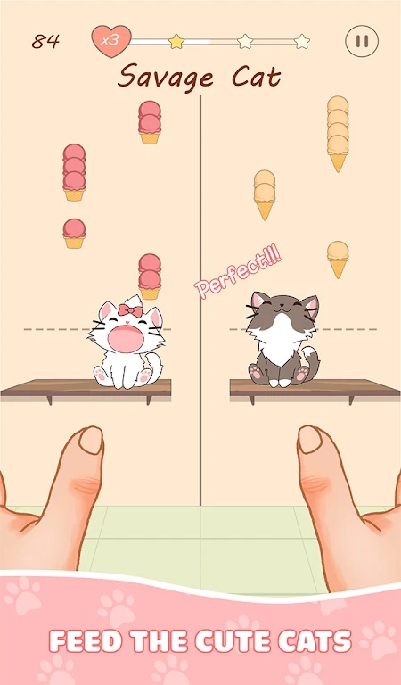 猫咪二重奏凯蒂4