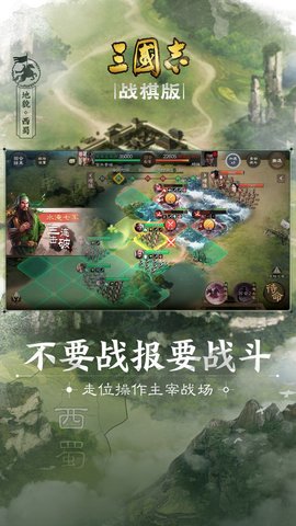 三国志·战棋版2