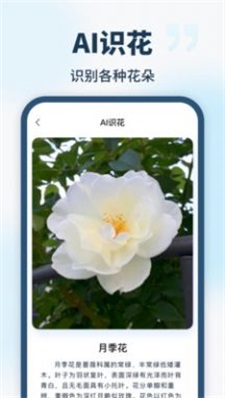 智能识别全能王1