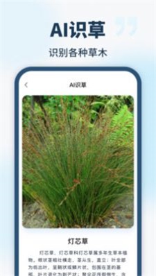 智能识别全能王2