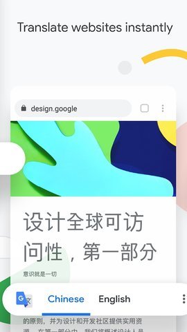 谷歌浏览器软件（Chrome）0