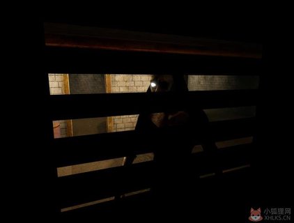 险恶的夜晚2黑寡妇2