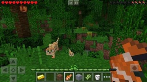 我的世界快照版（Minecraft）0