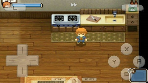 牧场物语双子村1