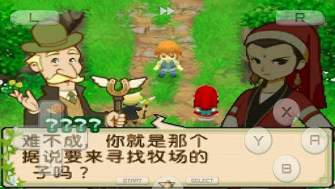 牧场物语双子村2