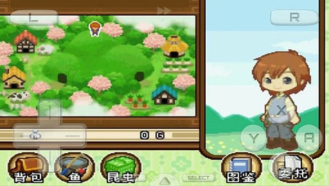 牧场物语双子村3