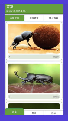 动物园首富 动物园首富