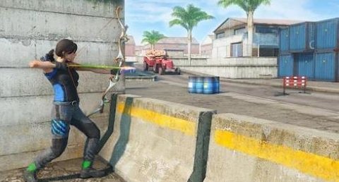 弓箭手猎杀者（Archer Assassin shooting game）1