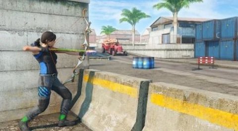 弓箭手猎杀者（Archer Assassin shooting game）2