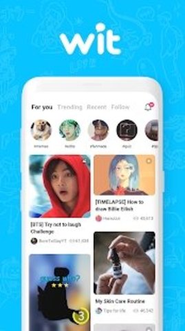 wit软件0