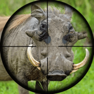 野性狩猎狙击手（Wild Hunt Pig Sniper Shooting）