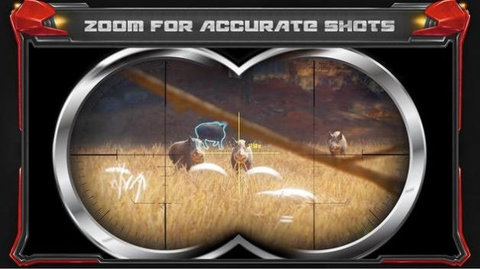 野性狩猎狙击手（Wild Hunt Pig Sniper Shooting）1
