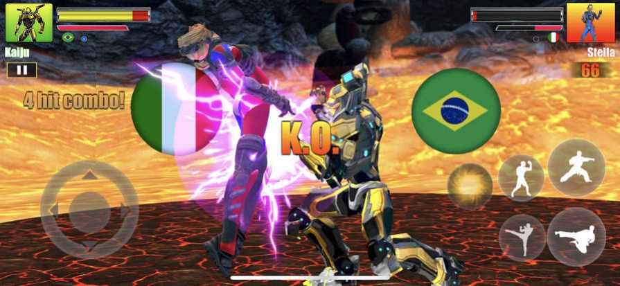 功夫战士空手道战斗2