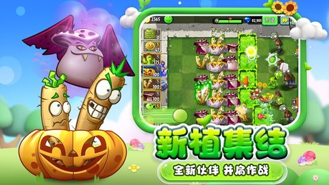 植物大战僵尸2双人对决版（Plants vs. Zombies FREE）1