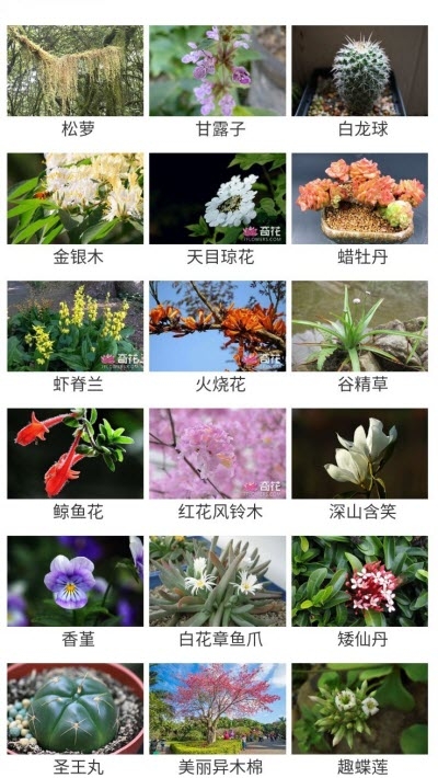 花草种植1
