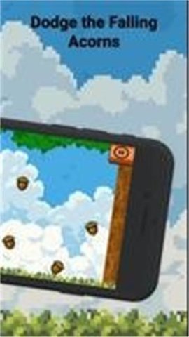 海贼道奇（Capy Dodge）0