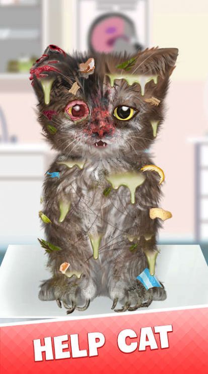 Cat Makeover2