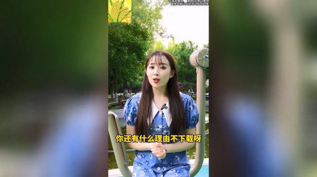 大米刷刷乐广告版2