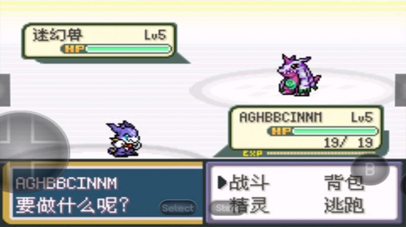 GBA宝可梦口袋暴龙