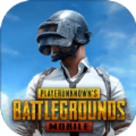地铁逃生国际服（PUBG MOBILE）