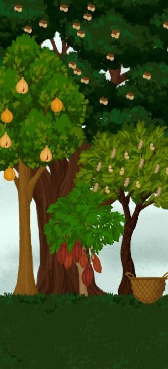 奥利维亚女巫的魔法商店1