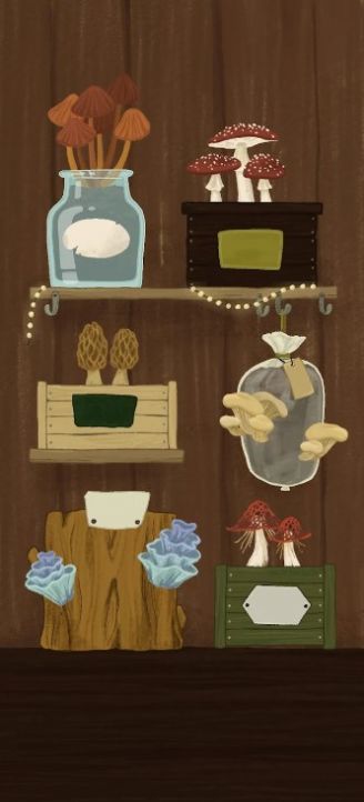 奥利维亚女巫的魔法商店2