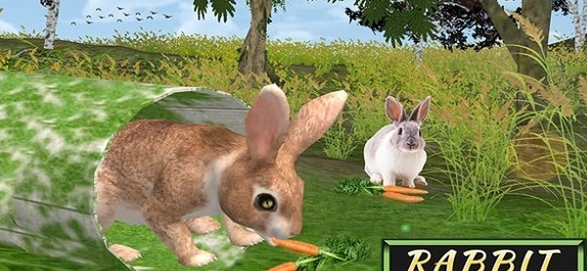 兔子模拟器0