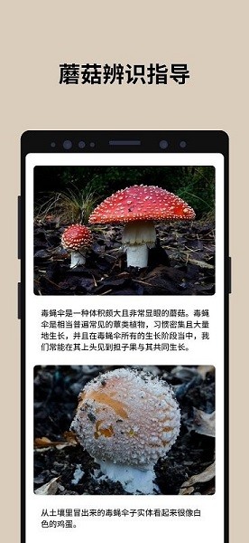 蘑菇识别扫一扫3