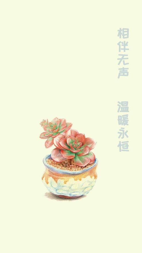 小墨多肉日记记录0