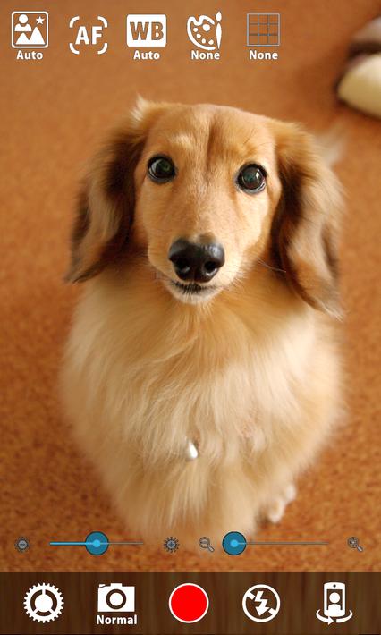 高画质的静音相机6