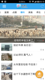 掌上亳州线上课堂3