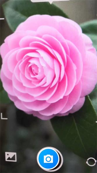 诚宝智能花卉识别1