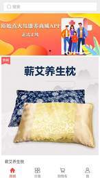 大红康养商城2